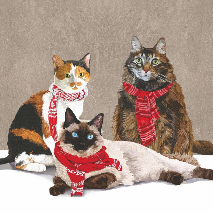 Scarf Cats Lunch Napkin Set