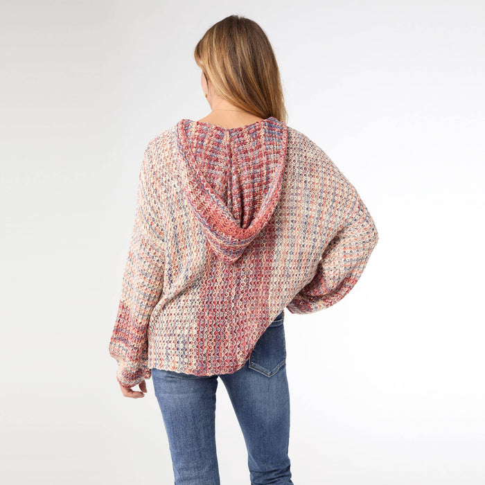 Neville Multi Color V-Neck Sweater with Hood