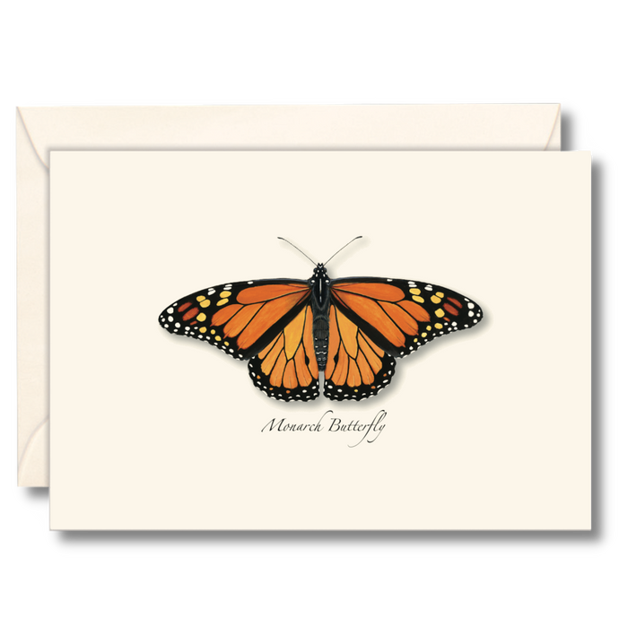 Monarch Butterfly Boxed Notecards