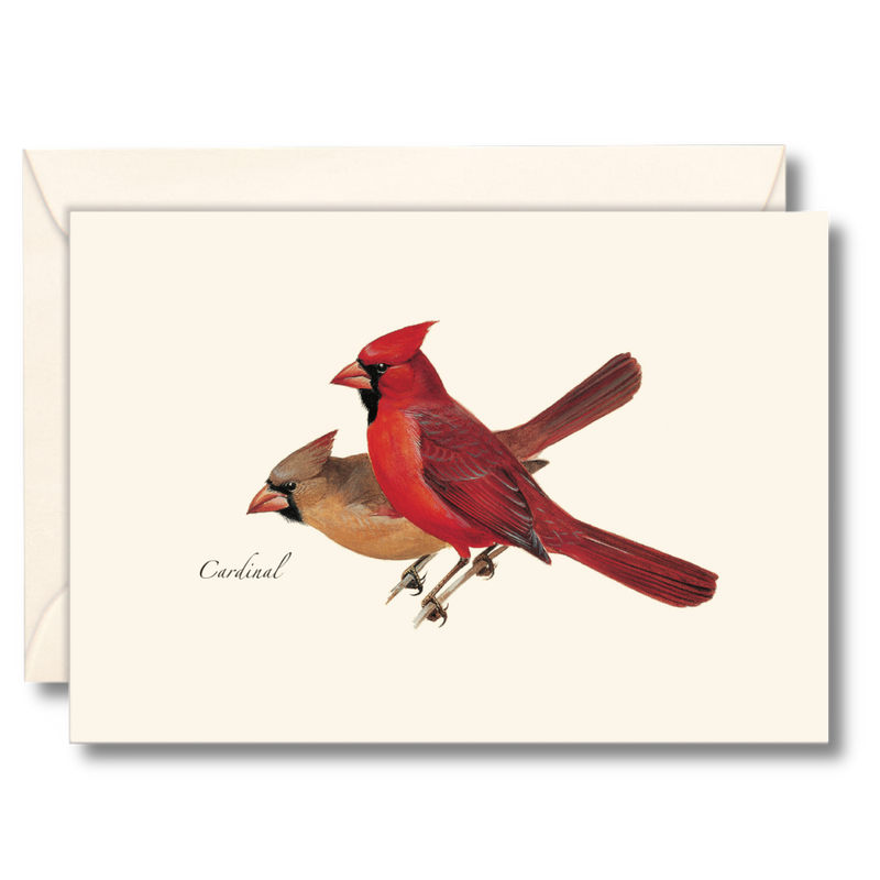 Peterson's Cardinal Boxed Notecards