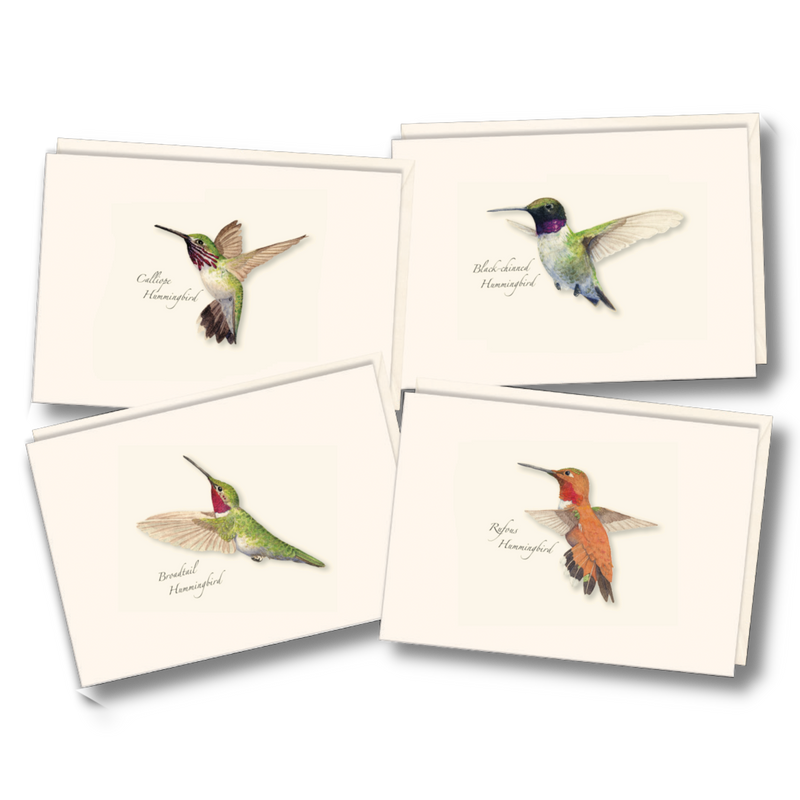 Western Hummingbird Boxed Notecards