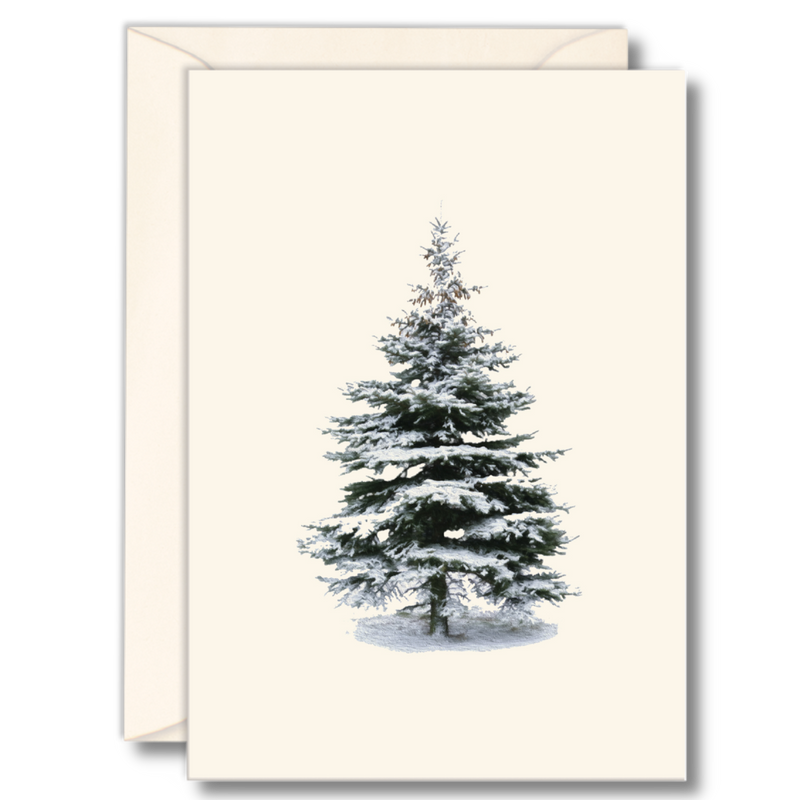 Winter Spruce Boxed Notecards